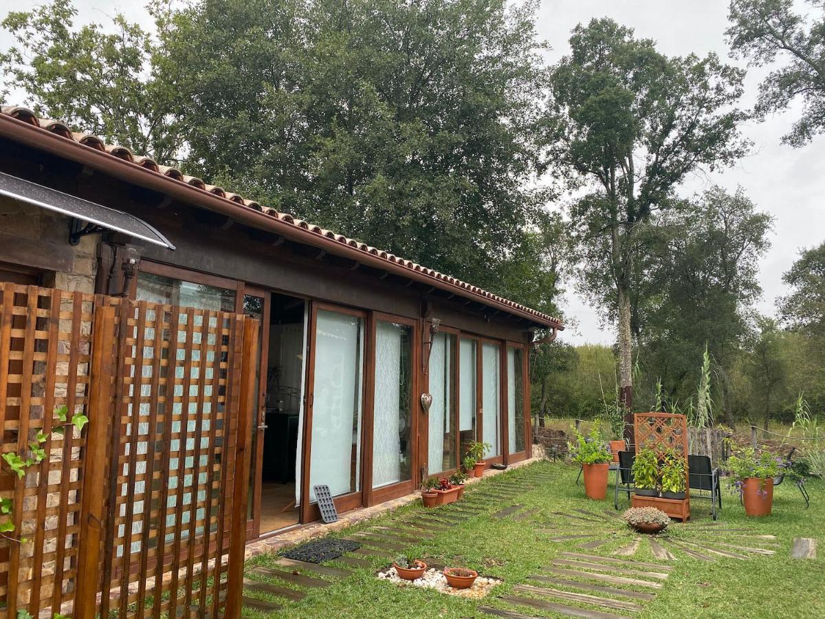 ヴィーラ・ノーヴァ・デ・ポイアレスThe Old Watermill Retreat - O Retiro Da Azenha Velhaアパートメント エクステリア 写真