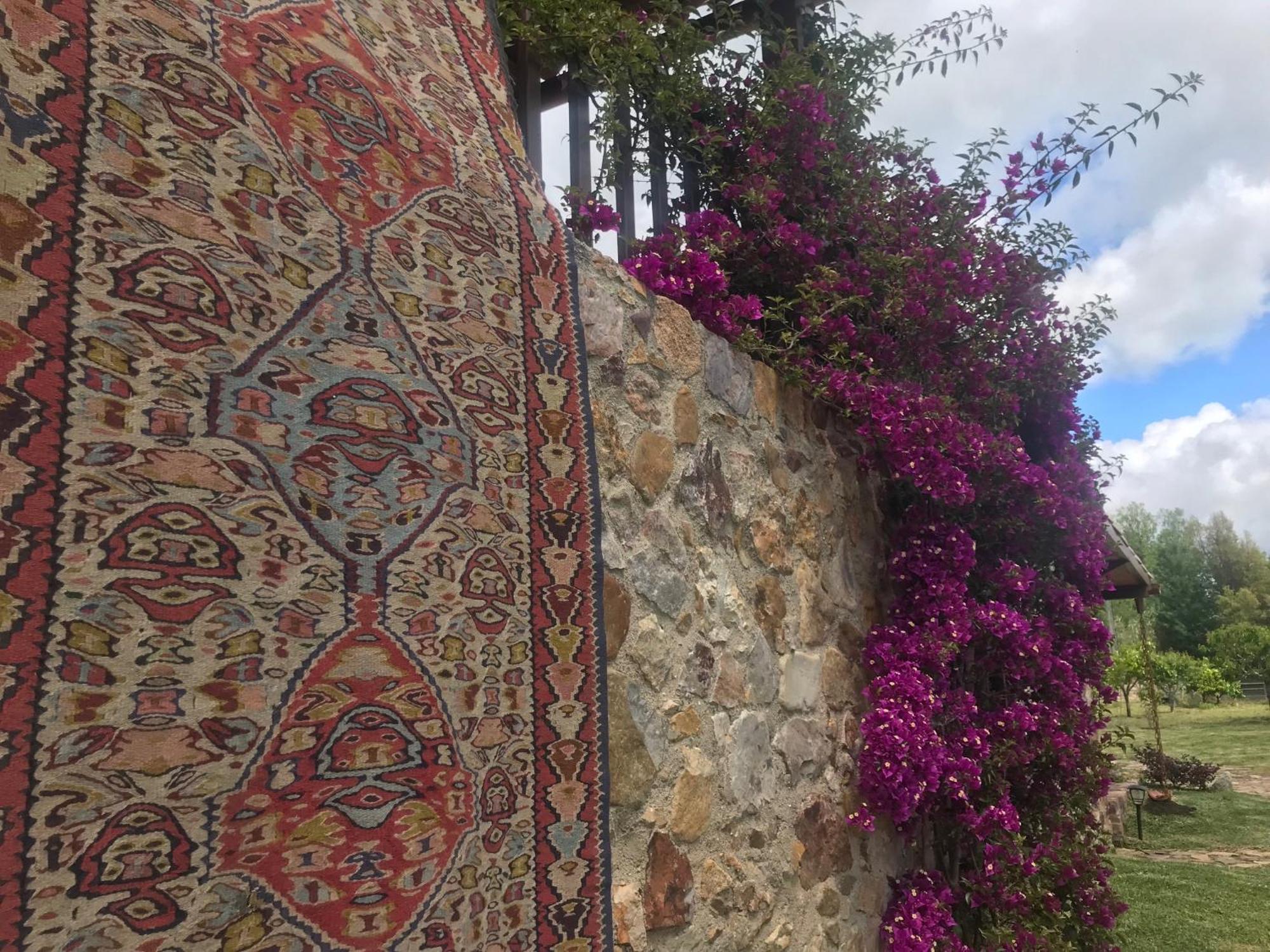 ヴィーラ・ノーヴァ・デ・ポイアレスThe Old Watermill Retreat - O Retiro Da Azenha Velhaアパートメント エクステリア 写真